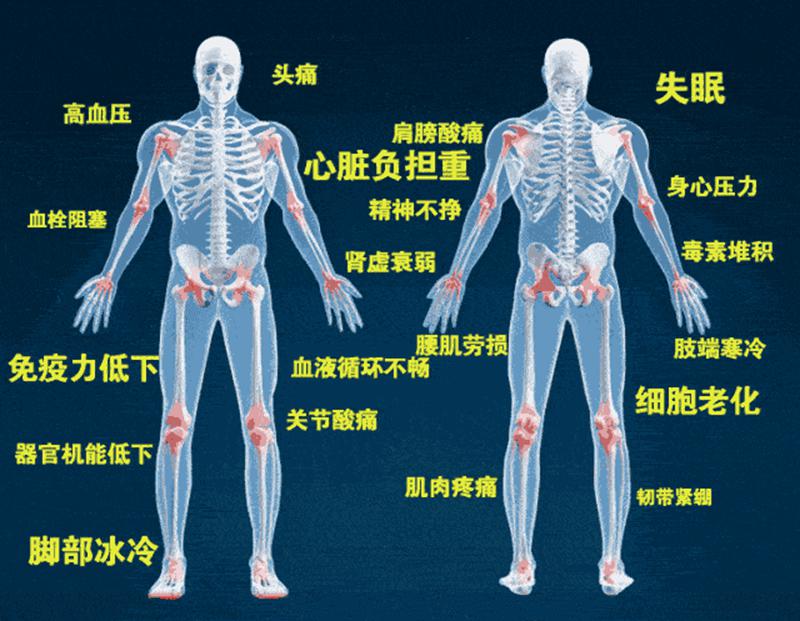 中医基于人体五脏六腑，结合四季特征，地理位置，阴阳调和，.gif