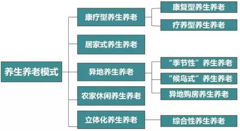 国内目前康养模式可按驱动因素分为五大养生养老模式：1.jpg