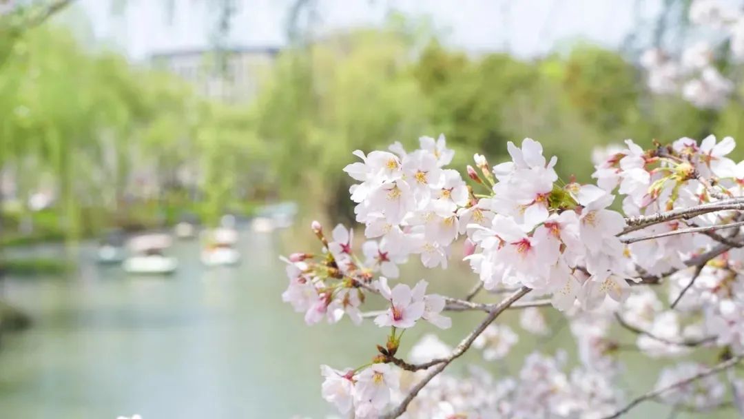 渡水复渡水，看花还看花。1.jpg