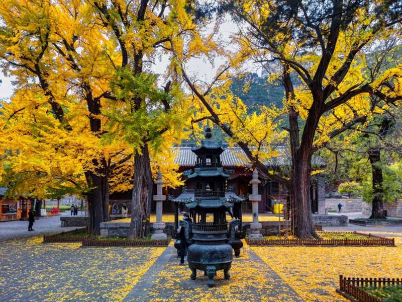 济南的秋天17.jpg 济南的秋天17.jpg